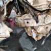 12010-38.jpg 2022 MG Motor Gloster DE 4X4 7 SEAT SAVVY