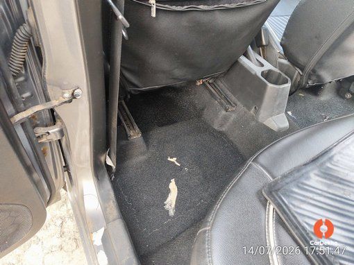 2019 Maruti Ignis DELTA PETROL