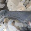 12012-15.jpg 2022 Hyundai Venue 1.0 TURBO GDI MT SX