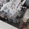 12013-44.jpg 2023 Mahindra Scorpio N D MT 2WD Z8 7S