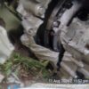 2025 Tata Punch PUR 1.2P MT