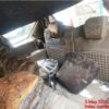 12020-11.jpg 2025 Maruti Ertiga VXI CNG