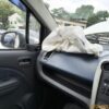 12023.jpg 2010 Maruti Ritz ZXI