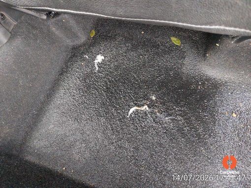2019 Maruti Ignis DELTA PETROL