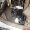 12030-6.jpg 2025 Maruti Ertiga VXI CNG