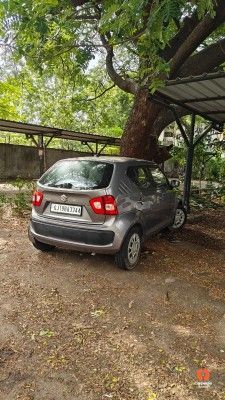 2019 Maruti Ignis DELTA PETROL