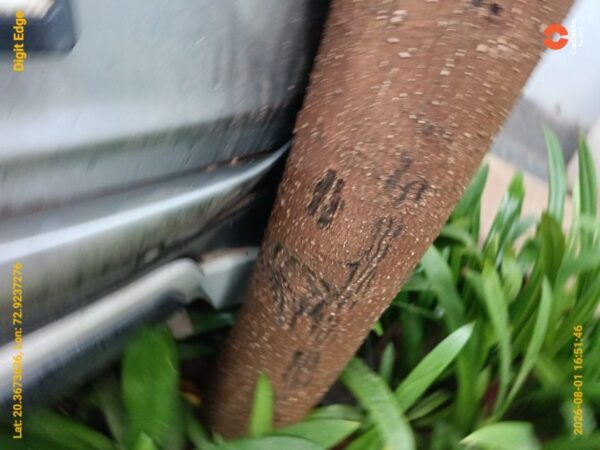 12040-14.jpg 2018 Maruti Vitara Brezza ZDI+ AMT