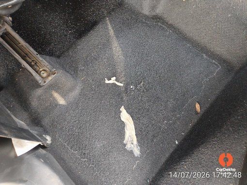 2019 Maruti Ignis DELTA PETROL