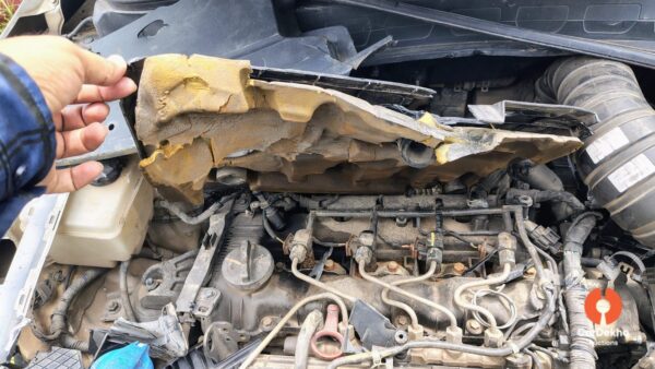 1205-17.jpg 2020 Kia Seltos D1.5 6MT HTK PLUS