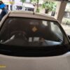 12051-7.jpg 2022 Maruti CELERIO ZXI+