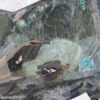 1206-27.jpg 2020 Maruti SWIFT VXI