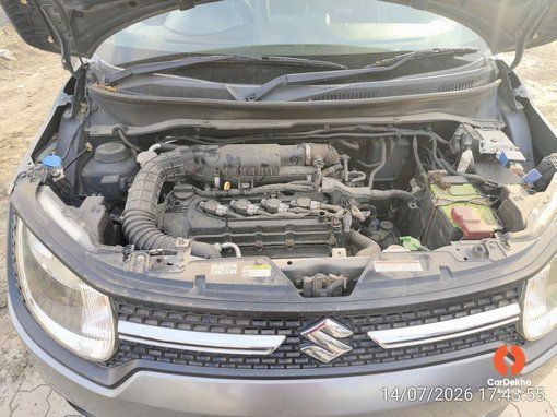 2019 Maruti Ignis DELTA PETROL