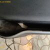 1207-38.jpg 2022 Maruti CELERIO ZXI+