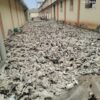 24-08-20262015.jpeg 2026 M/s. Sri Nachammai Cotton Mills Ltd Damaged dry Cotton