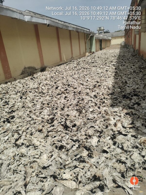 24-08-20262018.jpeg 2026 M/s. Sri Nachammai Cotton Mills Ltd Damaged dry Cotton