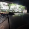 A2040.jpeg 2024 BYD Atto 3 DYNAMIC BOV