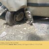 AA206-7.jpg 2021 Maruti ALTO VXI
