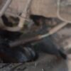 CP2032.jpg 2023 Nissan Magnite MT XL
