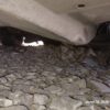 CR2072.jpg 2012 Volkswagen Vento 1.6CR