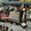 2019 Maruti ALTO LXI