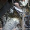 IMG_20260724_144820.jpg 2016 Hero Maestro EDGE CAST WHEEL