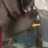 KO201206.jpg 2023 Nissan Magnite MT XL