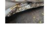MH48CC4571-1-20.jpg 2021 Hyundai Venue 1.5 CRDI MT SX