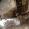 Pic206.jpeg 2019 Honda City 1.5 VX MT (I-VTEC)