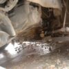 Pic208.jpeg 2019 Honda City 1.5 VX MT (I-VTEC)