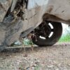 Vehicle_Photographs_2026-08-112018_52_19.0_392944138.jpg 2026 Mahindra Scorpio CLASSIC S11 MT 7S